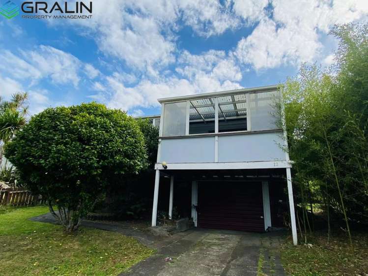 12 Leinster Street New Windsor_1