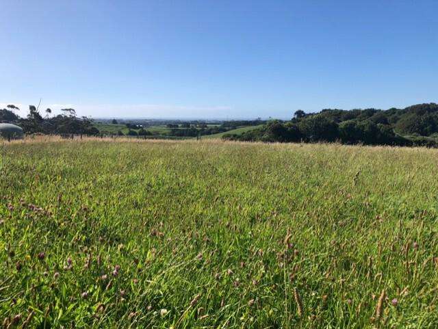 Lifestyle, space & sheds galore in Lepperton