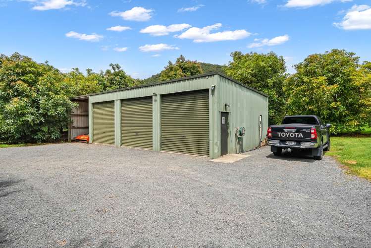 36 Watrous Downs Maungatapere_38