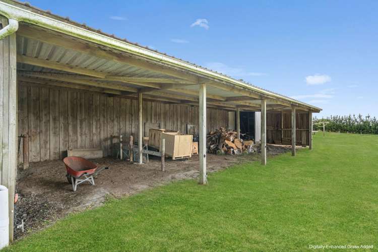 259 Redhill Cemetery Road Te Kopuru_17