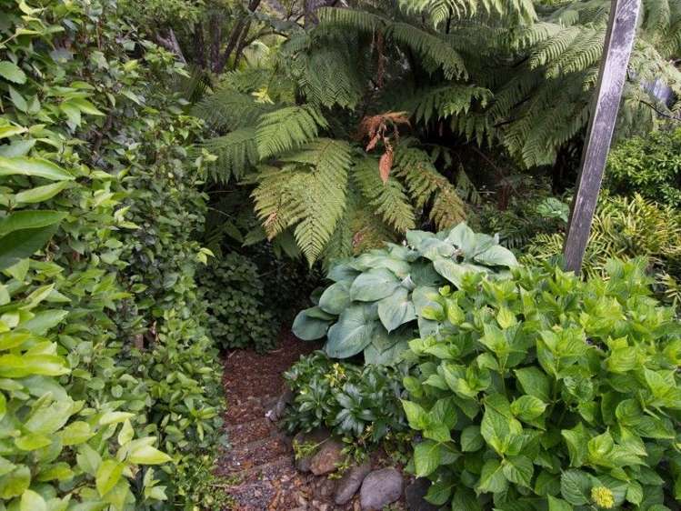 2325 Croisilles-French Pass Road Okiwi Bay_21