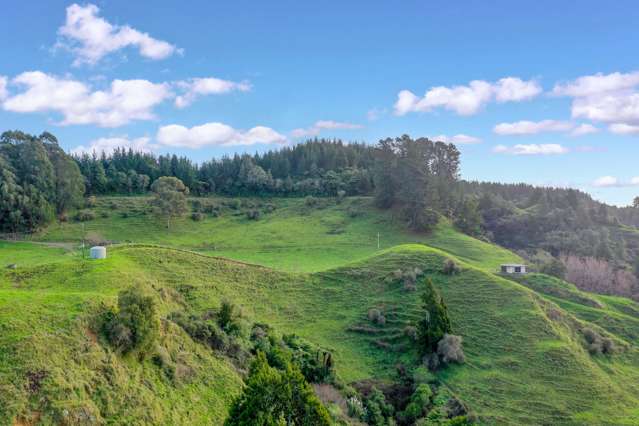 2/795 Stanley Road Whakatane_3