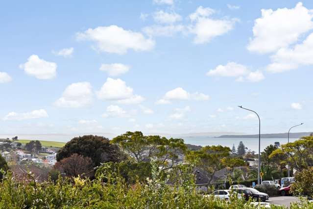 6a Colenso Place Mission Bay_2