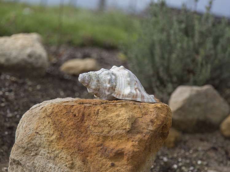 108 Baylys Coast Road Dargaville_11