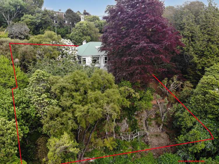 24 Braeview Crescent Maori Hill_22