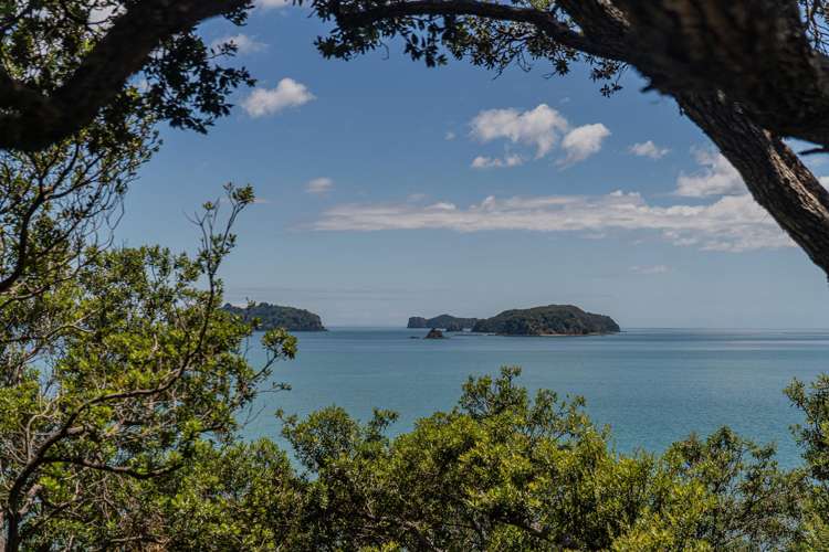 1116 - 1118 Colville Road Amodeo Bay_36