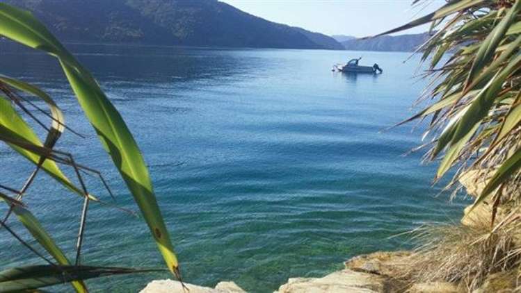 Endeavour Inlet Marlborough_2