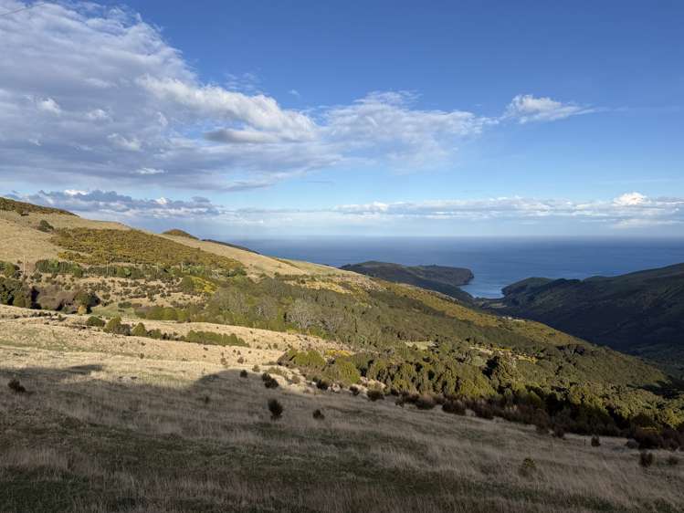 490 Long Bay Road Akaroa_6