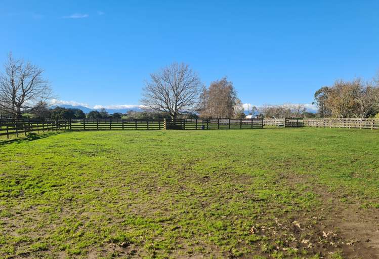 113 Morrinsville-Walton Road Morrinsville_6
