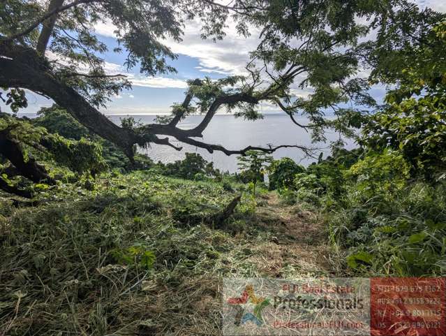 Address withheld Taveuni_2