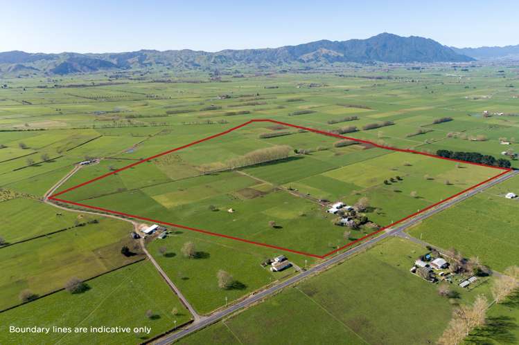 382 Tautiti Road Te Aroha_2