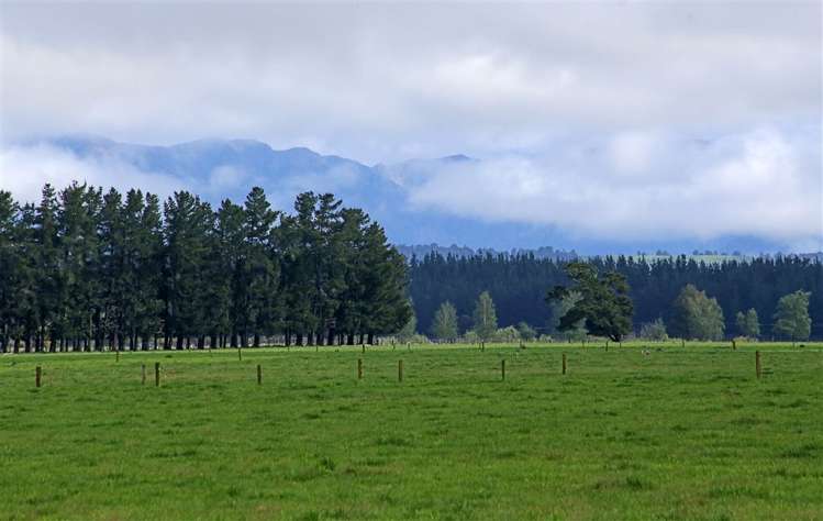 1096 Ashcott Road Rangitikei Surrounds_17