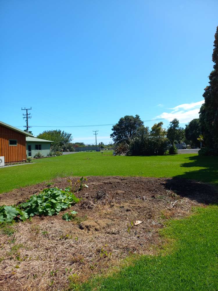 12 Ives Street Hector_6