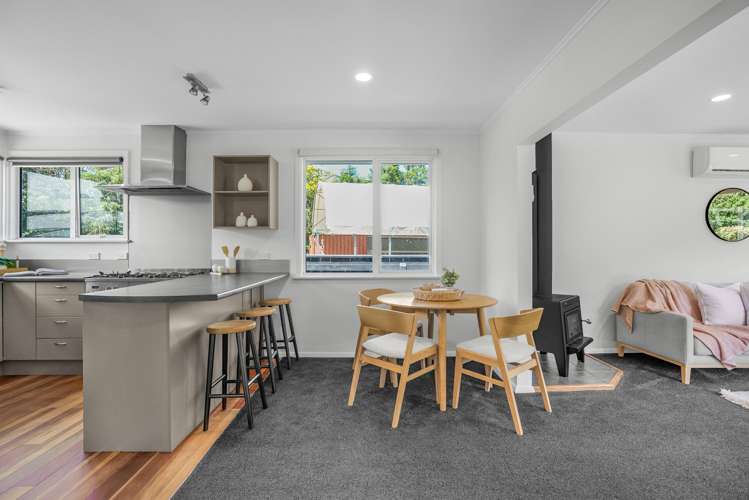 61 Black Beech Street Birchville_7