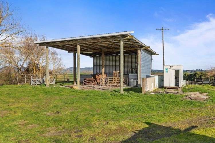 673 HETHERINGTON ROAD Rotongaro_24