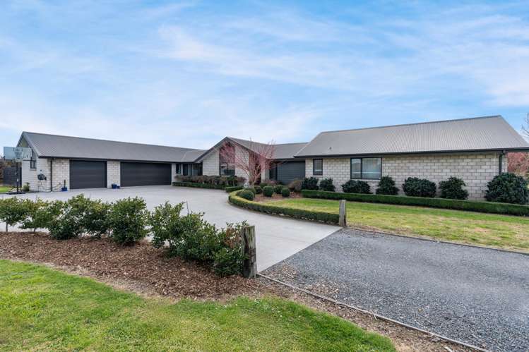 86 Taplin Road Matangi_25