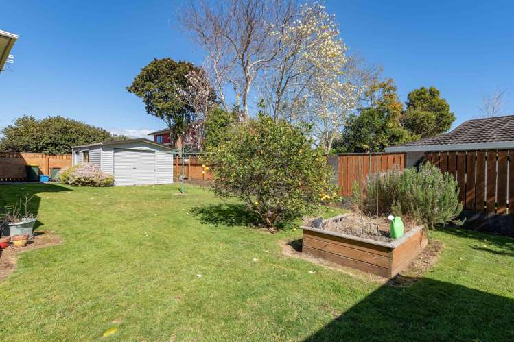 45 Heta Road Highlands Park_17