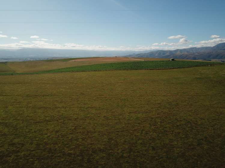 207 Tondros Road Fairlie_13