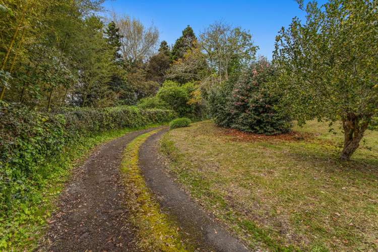 121 Reeves Road Opotiki and Surrounds_33