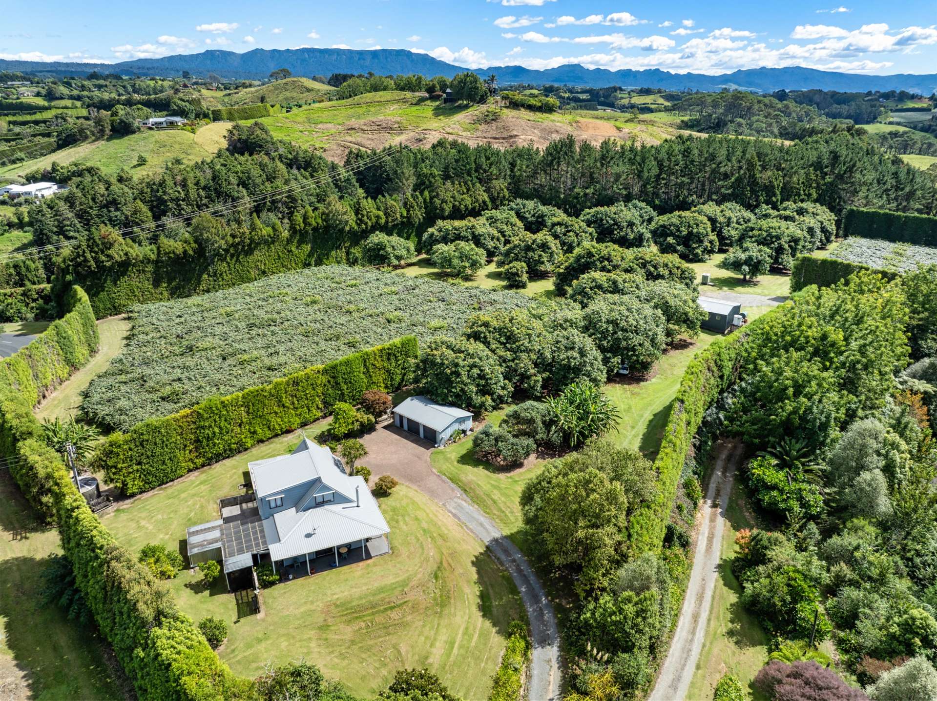 168 Youngson Road Whakamarama Western Bay Of Plenty Houses for