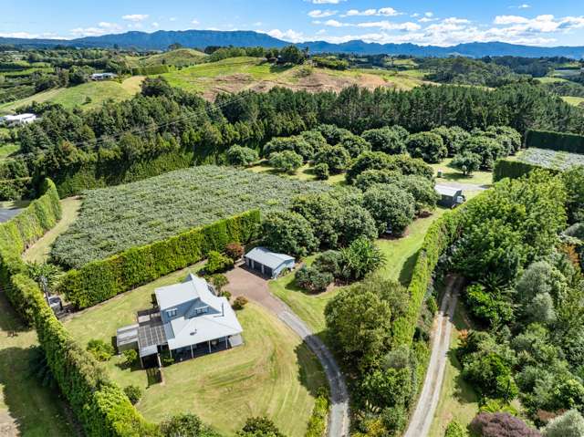 168 Youngson Road Whakamarama_2