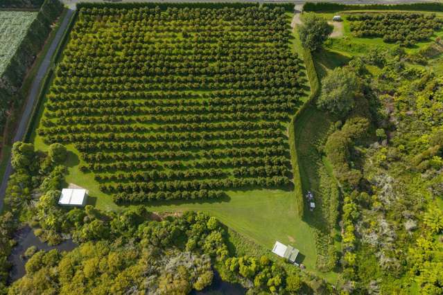 169 Tuapiro Road Katikati_3