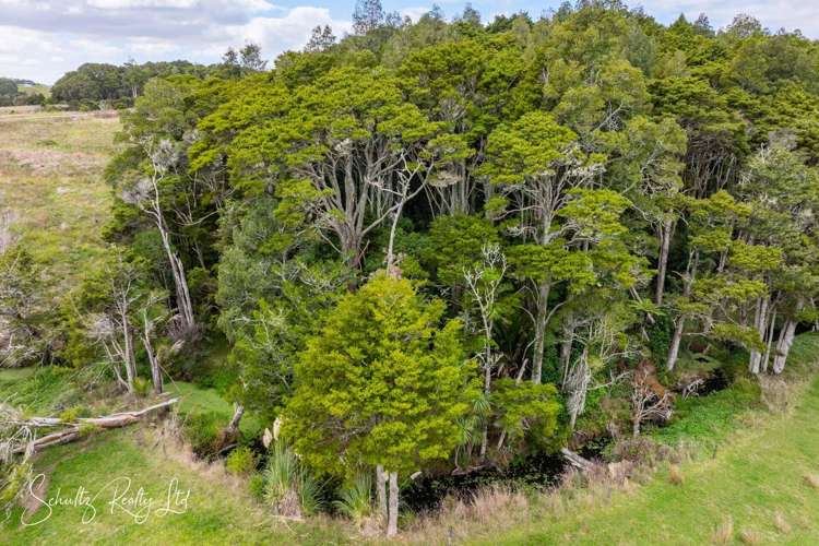 Whakapirau Road Maungaturoto_41