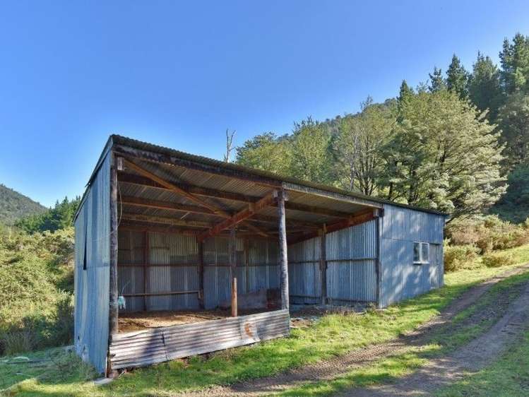 446 Glentui Bush Road Glentui_14