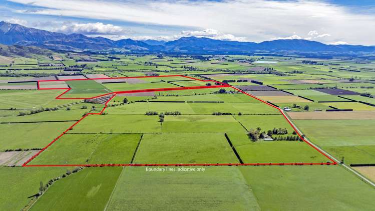 677 Pig Saddle Road_2