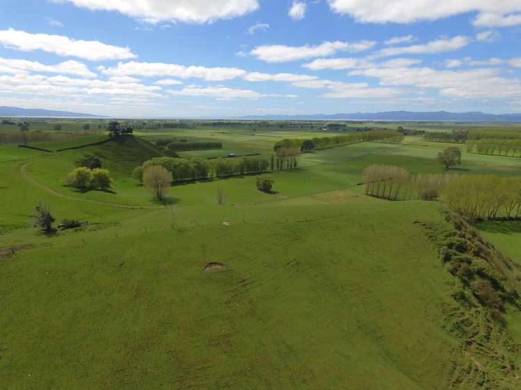 399 Mahuta Road Mangatarata_3