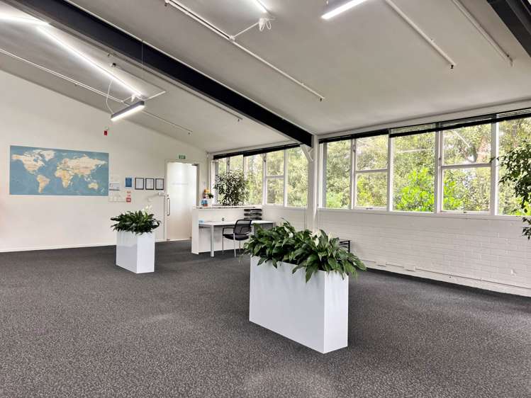 330 Dominion Road Mt Eden_9