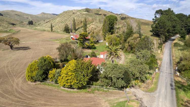 16451 Route 52 Masterton_18