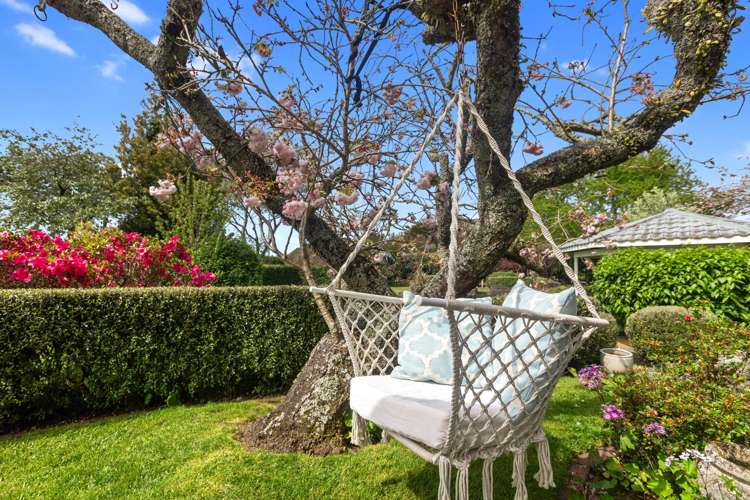 284 No 3 Road Te Puke_22