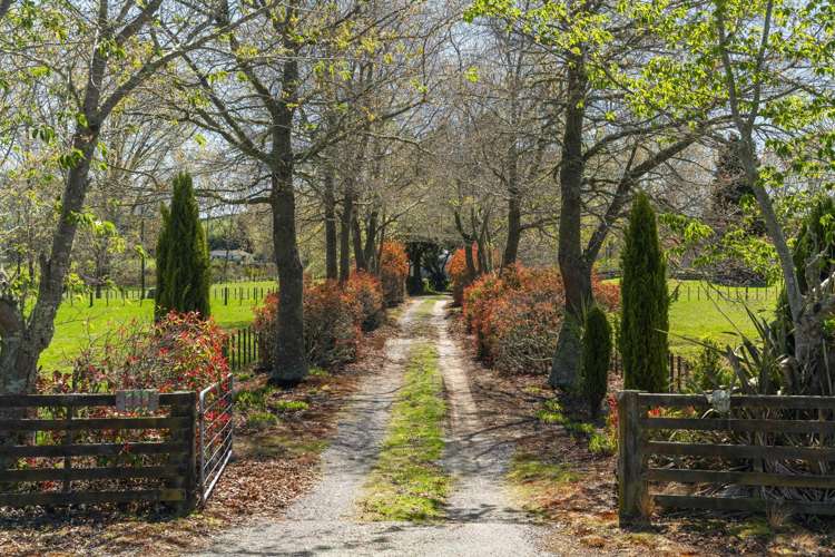 906 Tukairangi Road Acacia Bay_23