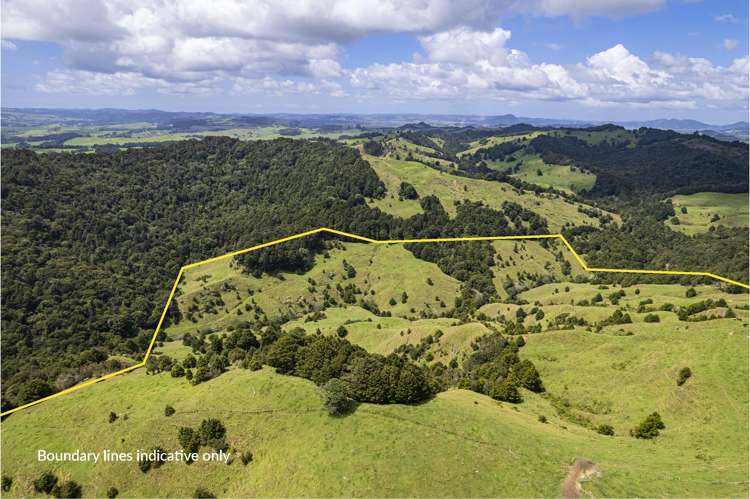 632 Marlow Road Maromaku_31