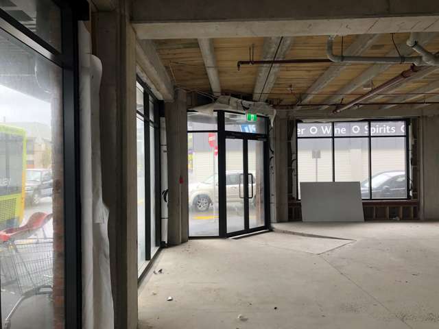 73 Jackson Street Petone_1