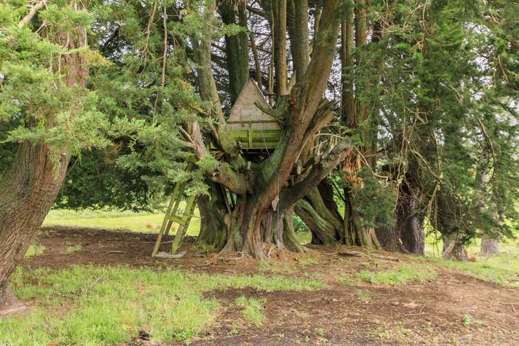 413 Hatuma Road Waipukurau and Surrounds_19