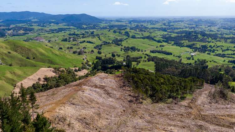 Te Rore Road Kaitaia_11
