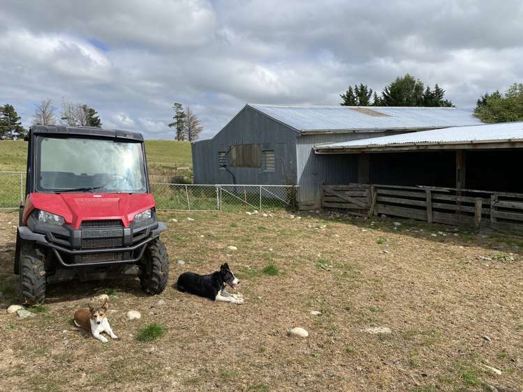 111 Gully Road Tuatapere_7