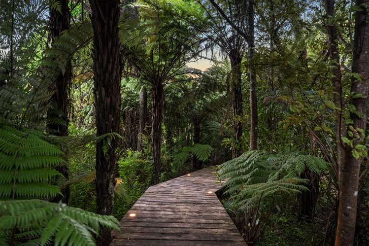 10 Thomas Hunter Lane Greenhithe_23