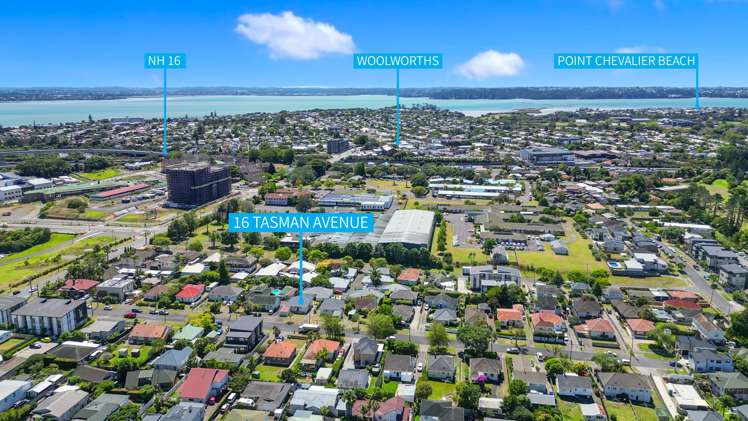 16 Tasman Avenue Mount Albert_14