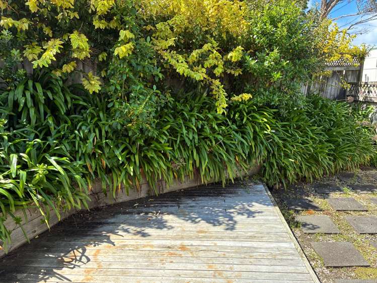 B/605 Whangaparaoa Road Stanmore Bay_7