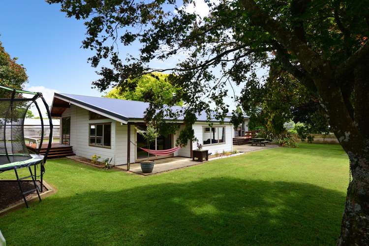335 Beechey Street Pirongia_21