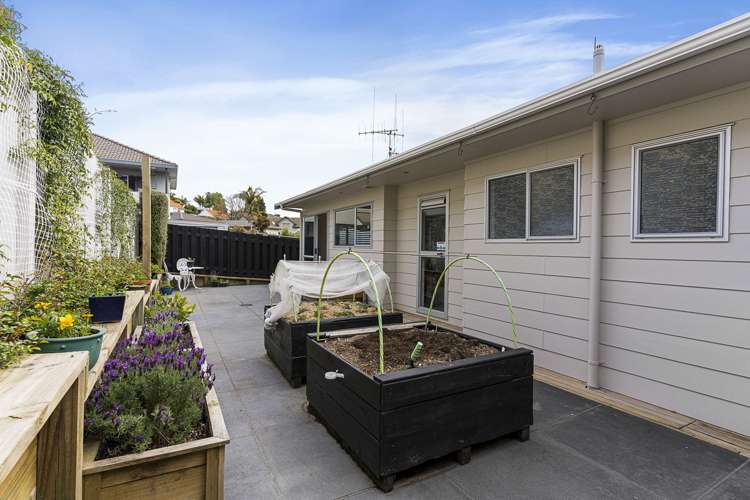 31b Otumoetai Road Judea_13