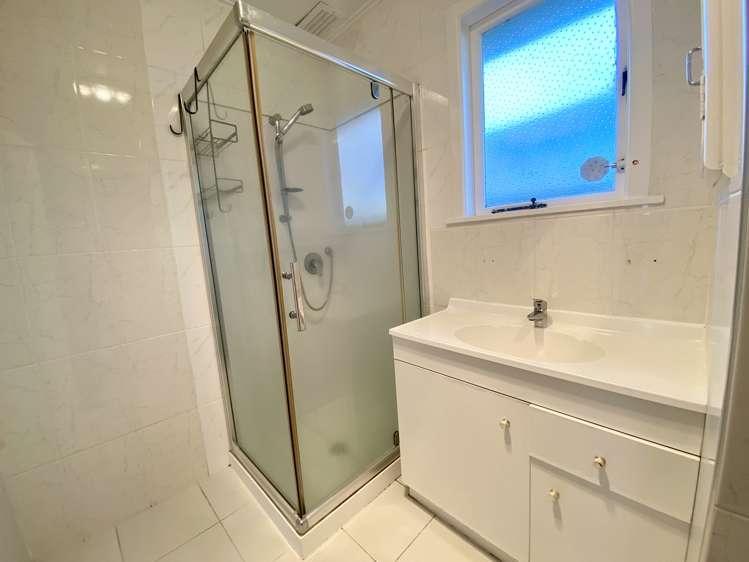 104 Webster Avenue Mount Roskill_8