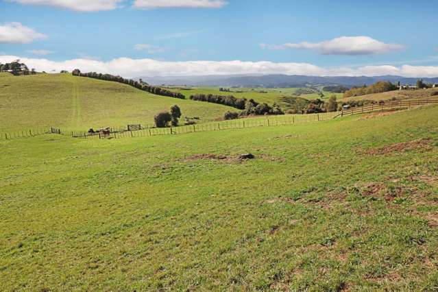 Lot 1/1739 Ponga Road Hunua_4