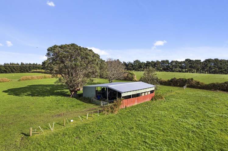 0n Whakamara Road Manutahi_9