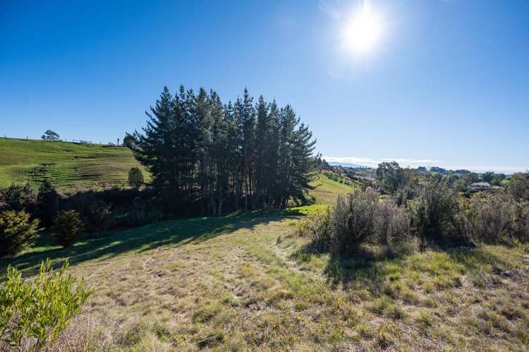 284 Harley Road Tasman_23