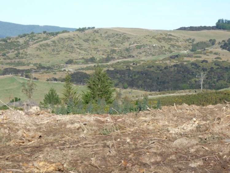 113 Wright Road Evansdale_11