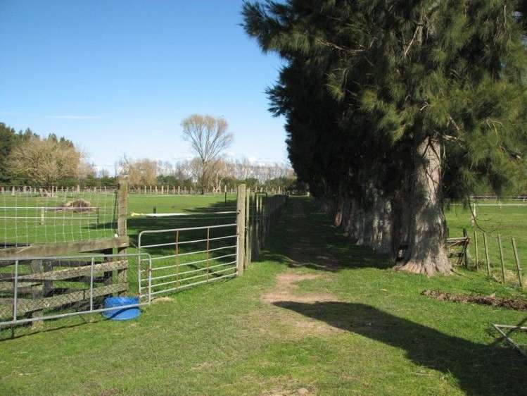 44 Racecourse Road Te Aroha_16